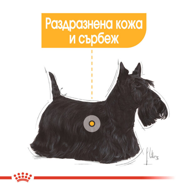 СУХА ХРАНА ЗА КУЧЕТА ОТ ДРЕБНИ ПОРОДИ ROYAL CANIN® MINI DERMACOMFORT