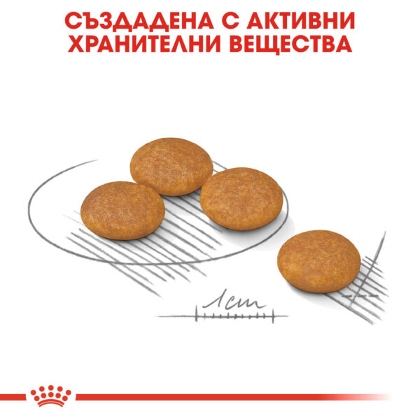 СУХА ХРАНА ЗА КУЧЕТА ОТ ДРЕБНИ ПОРОДИ ROYAL CANIN® MINI DERMACOMFORT