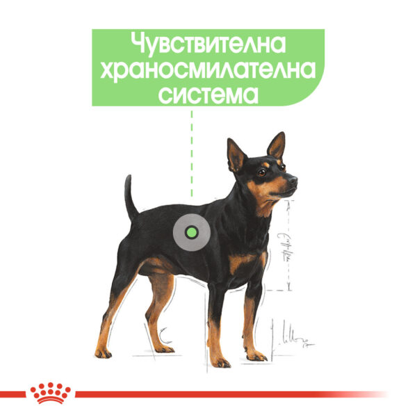 СУХА ХРАНА ЗА КУЧЕТА ОТ ДРЕБНИ ПОРОДИ ROYAL CANIN® MINI DIGESTIVE CARE