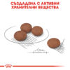 СУХА ХРАНА ЗА КУЧЕТА ОТ ДРЕБНИ ПОРОДИ ROYAL CANIN® MINI DIGESTIVE CARE