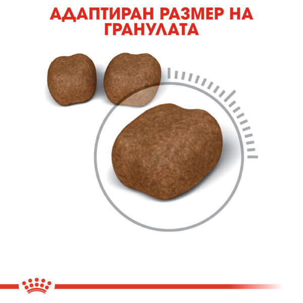 Суха храна за котки над 12 месеца за намаляване образуването на зъбен камък ROYAL CANIN® CARE ORAL