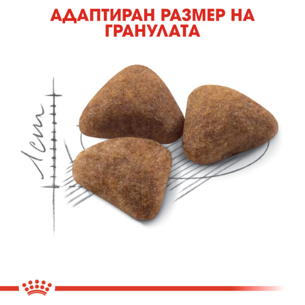 Суха храна за котки в зряла възраст живеещи на закрито ROYAL CANIN® INDOOR 27
