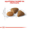 Суха храна за котки с капризен апетит в зряла възраст ROYAL CANIN® EXIGENT SAVOUR