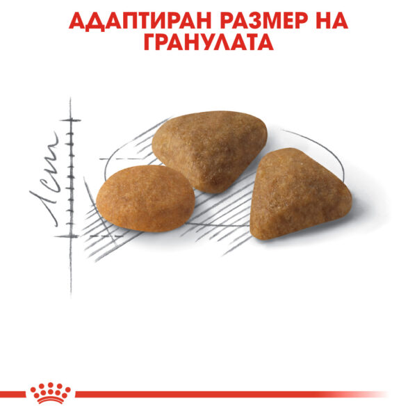 Суха храна за котки с капризен апетит в зряла възраст ROYAL CANIN® EXIGENT SAVOUR