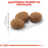 Суха храна за кастрирани котки в зряла възраст ROYAL CANIN® STERILISED