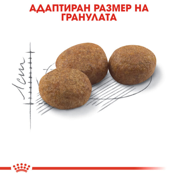Суха храна за кастрирани котки в зряла възраст ROYAL CANIN® STERILISED