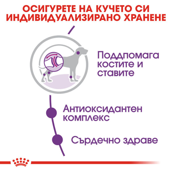 Суха храна за кучета от гигантски породи над 18 месеца ROYAL CANIN® GIANT ADULT