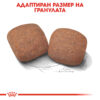Суха храна за кучета от гигантски породи над 18 месеца ROYAL CANIN® GIANT ADULT