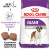 Суха храна за кучета от гигантски породи над 18 месеца ROYAL CANIN® GIANT ADULT