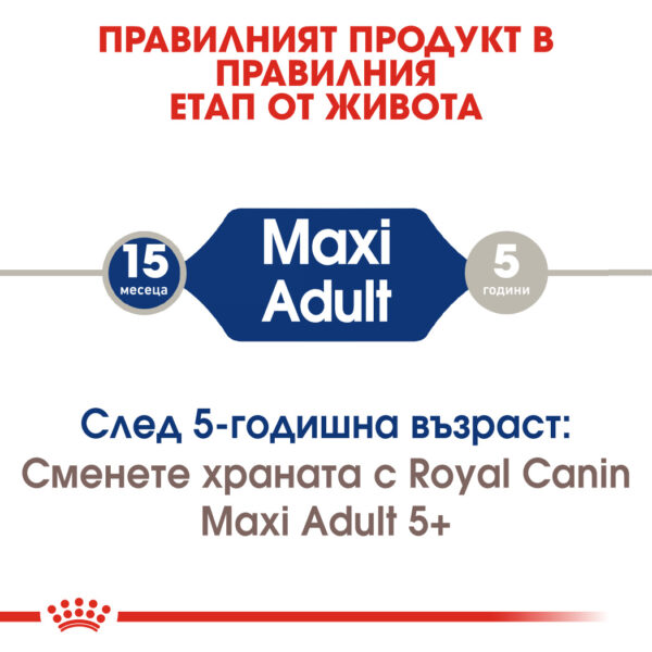 Суха храна за кучета от едри породи от 15 месеца до 5 години ROYAL CANIN® MAXI ADULT