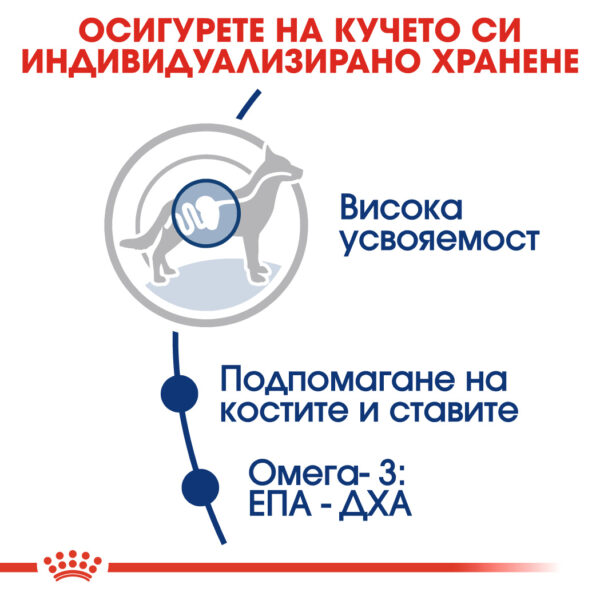 RC-SHN-AdultMaxiBeef-CV-EretailKit-2-bg_BG Суха храна за кучета от едри породи от 15 месеца до 5 години ROYAL CANIN® MAXI ADULT
