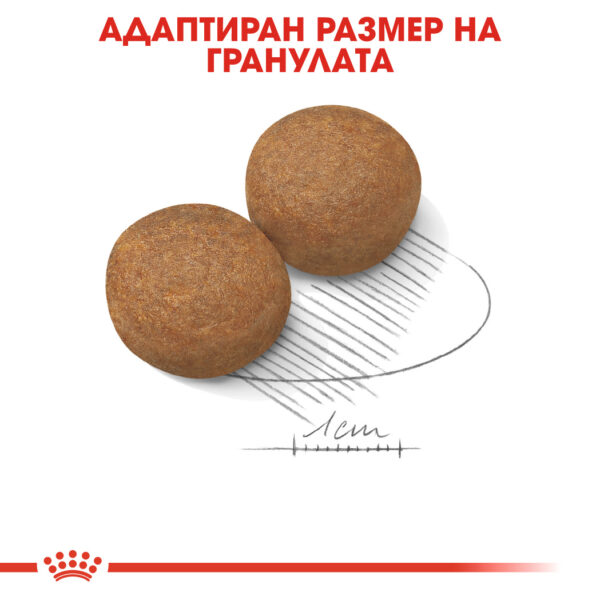 Суха храна за кучета от едри породи от 15 месеца до 5 години ROYAL CANIN® MAXI ADULT