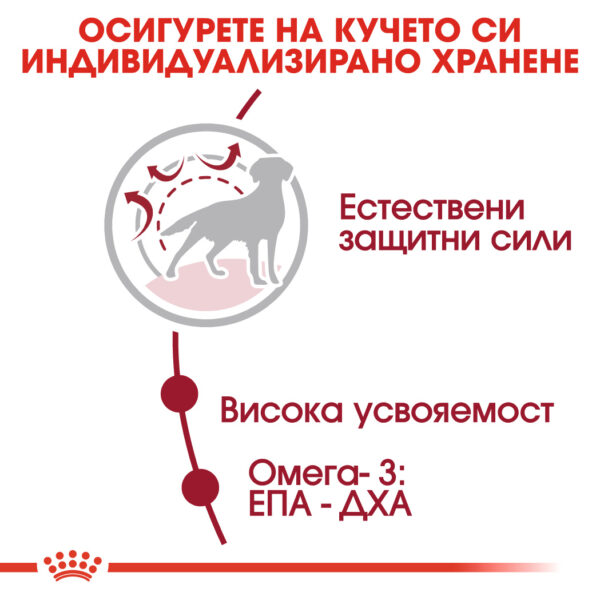 Суха храна за кучета от средни породи от 1 до 7 години ROYAL CANIN® MEDIUM ADULT