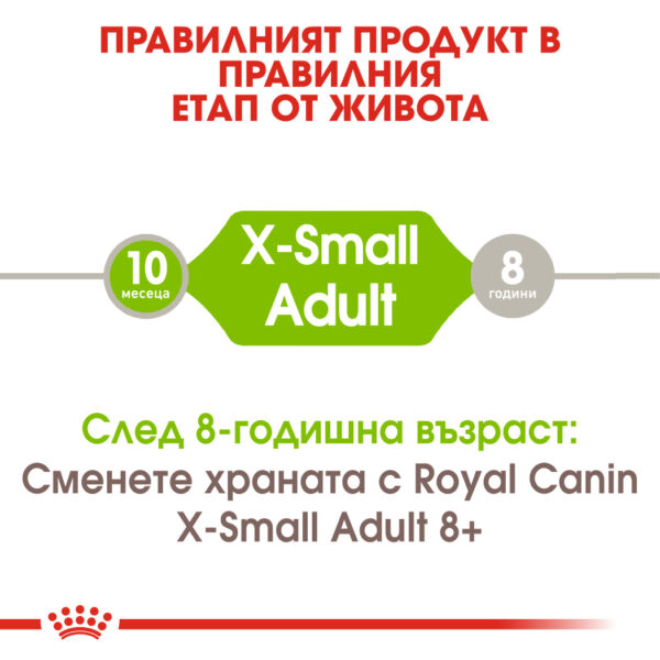 Пълноценна суха храна за кучета от миниатюрни породи ROYAL CANIN® X-SMALL ADULT
