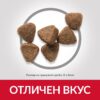 Пълноценна храна за подрастващи котенца Hill's Science Plan Kitten с пилешко