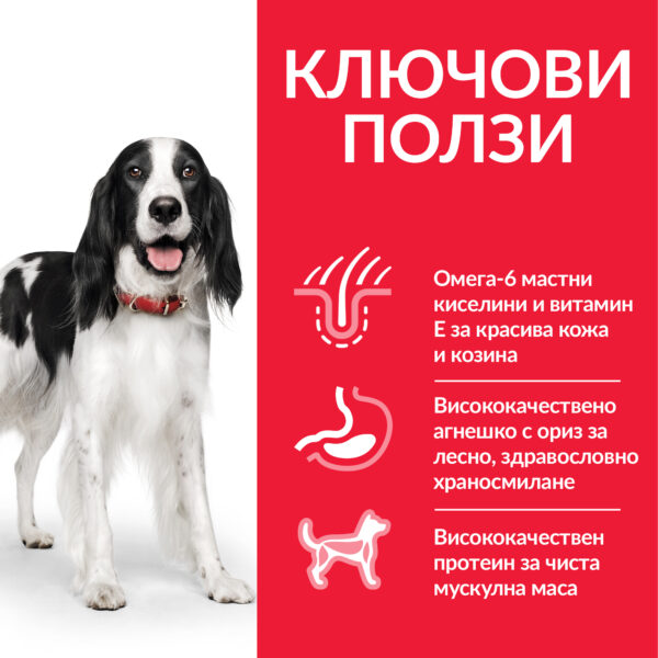 DOG_Adult_Medium_Lamb_Transition-Benefits Hill’s Science Plan Canine Medium Adult с агнешко и ориз