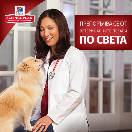 Hill's Science Plan Large Breed adult пилешко
