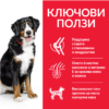 Hill's Science Plan Large Breed adult пилешко