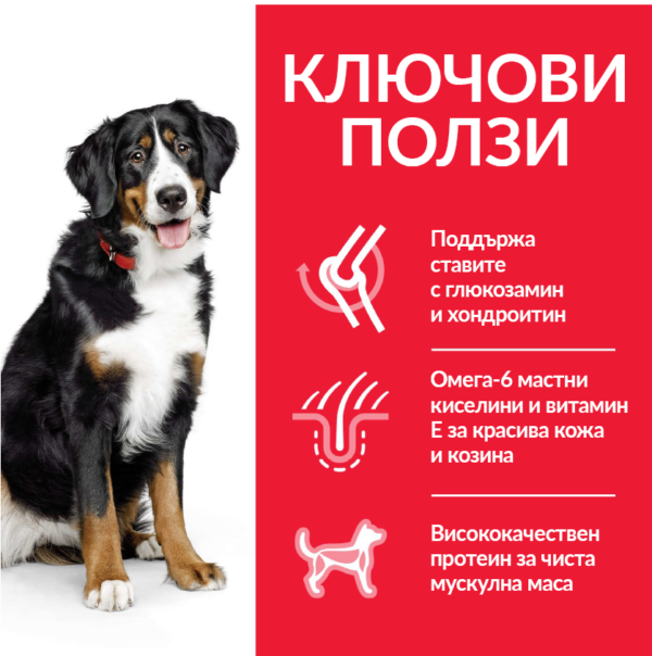 Hill's Science Plan Large Breed adult пилешко