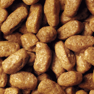 PPC-Kibbles-Dry-Sterilised-Salmon-Product-360x360 (1) PURINA® PRO PLAN® STERILISED с OPTIRENAL®, богата на сьомга